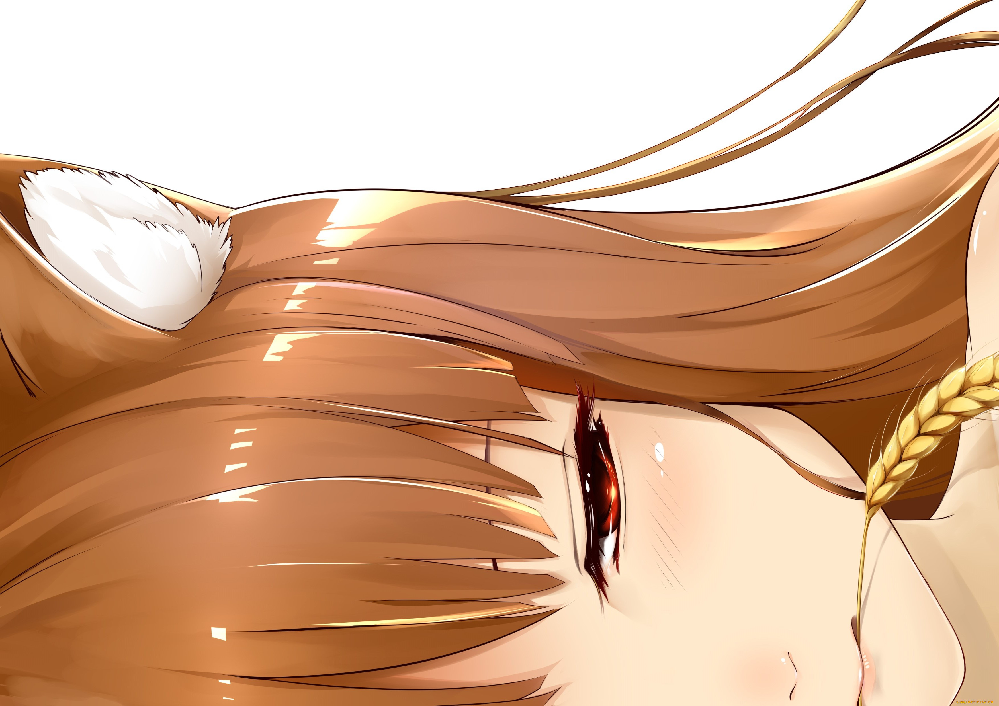 , spice and wolf, holo